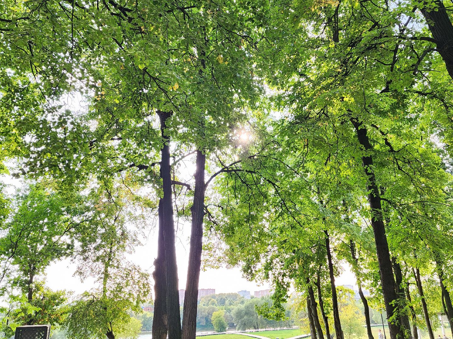 погода, обряды, осень, воскресенск,