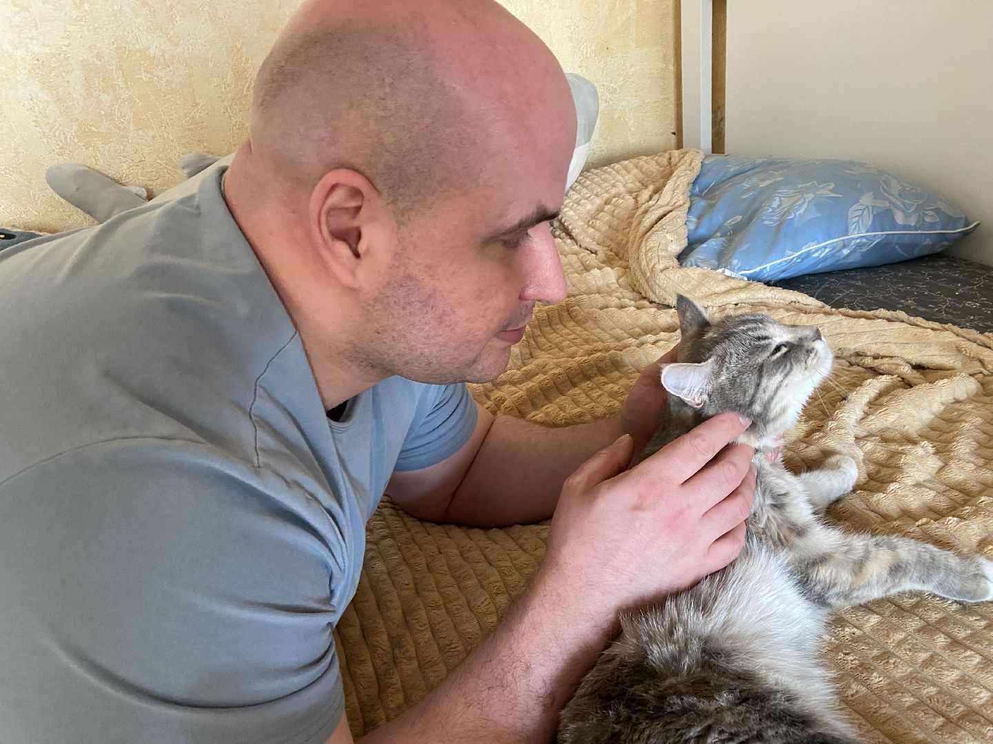 Балашиха, зооволонтёр, братья наши меньшие