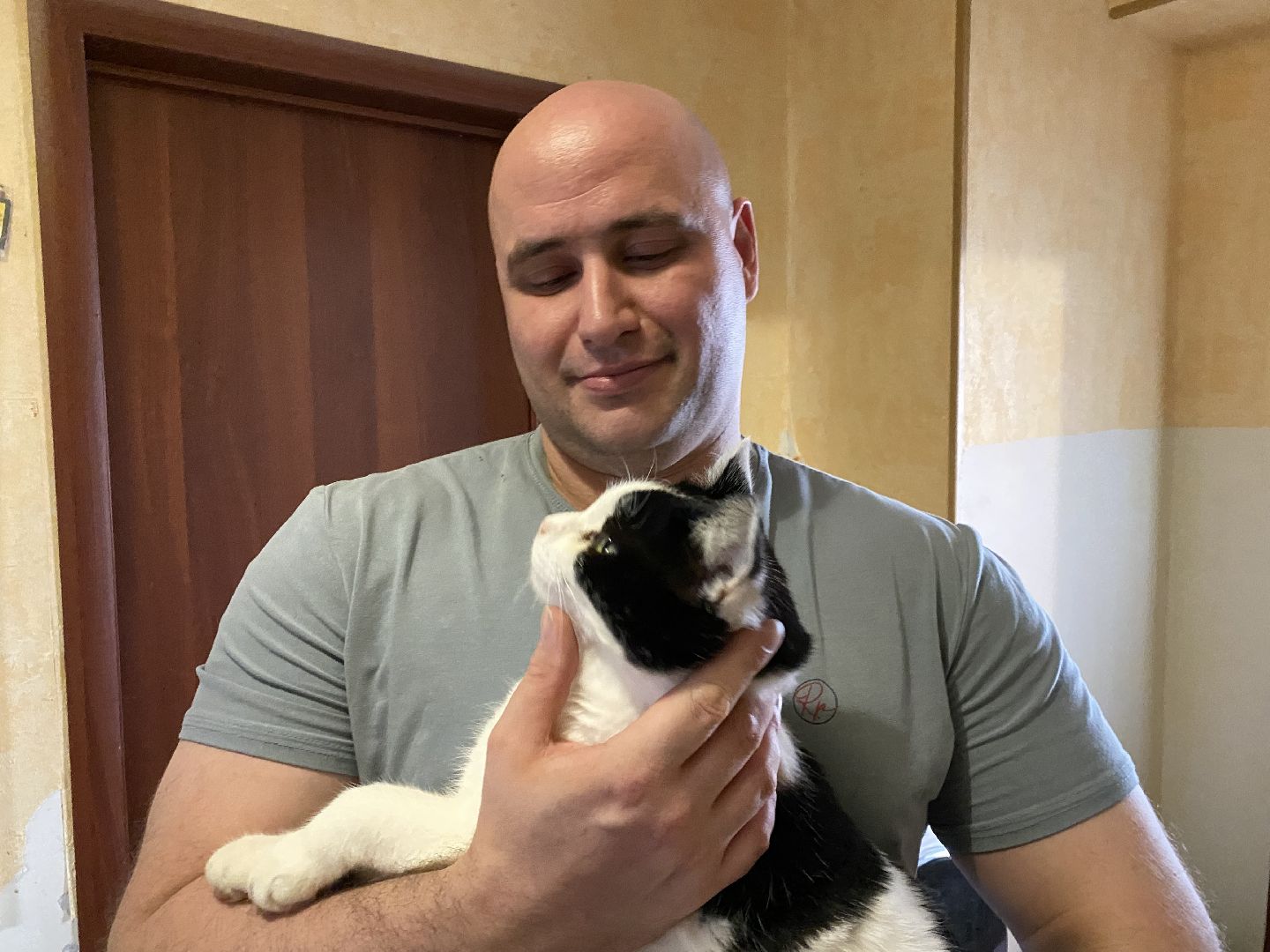 Балашиха, зооволонтёр, братья наши меньшие