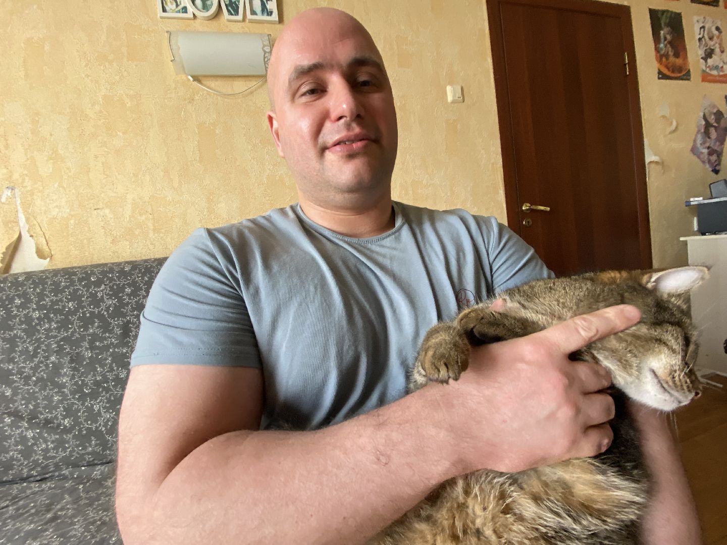 Балашиха, зооволонтёр, братья наши меньшие