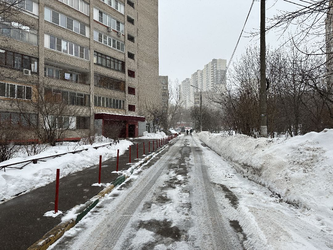 благоустройство, парк, сквер, клумбы, Реутов