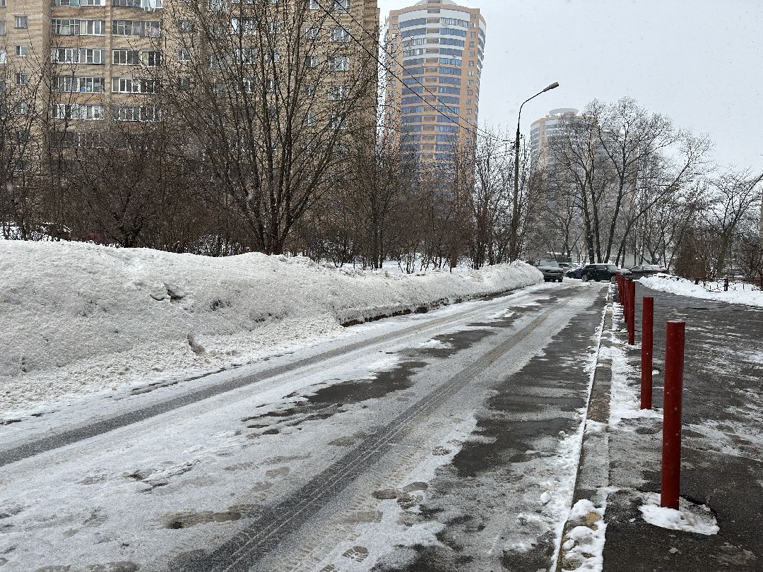 благоустройство, парк, сквер, клумбы, Реутов