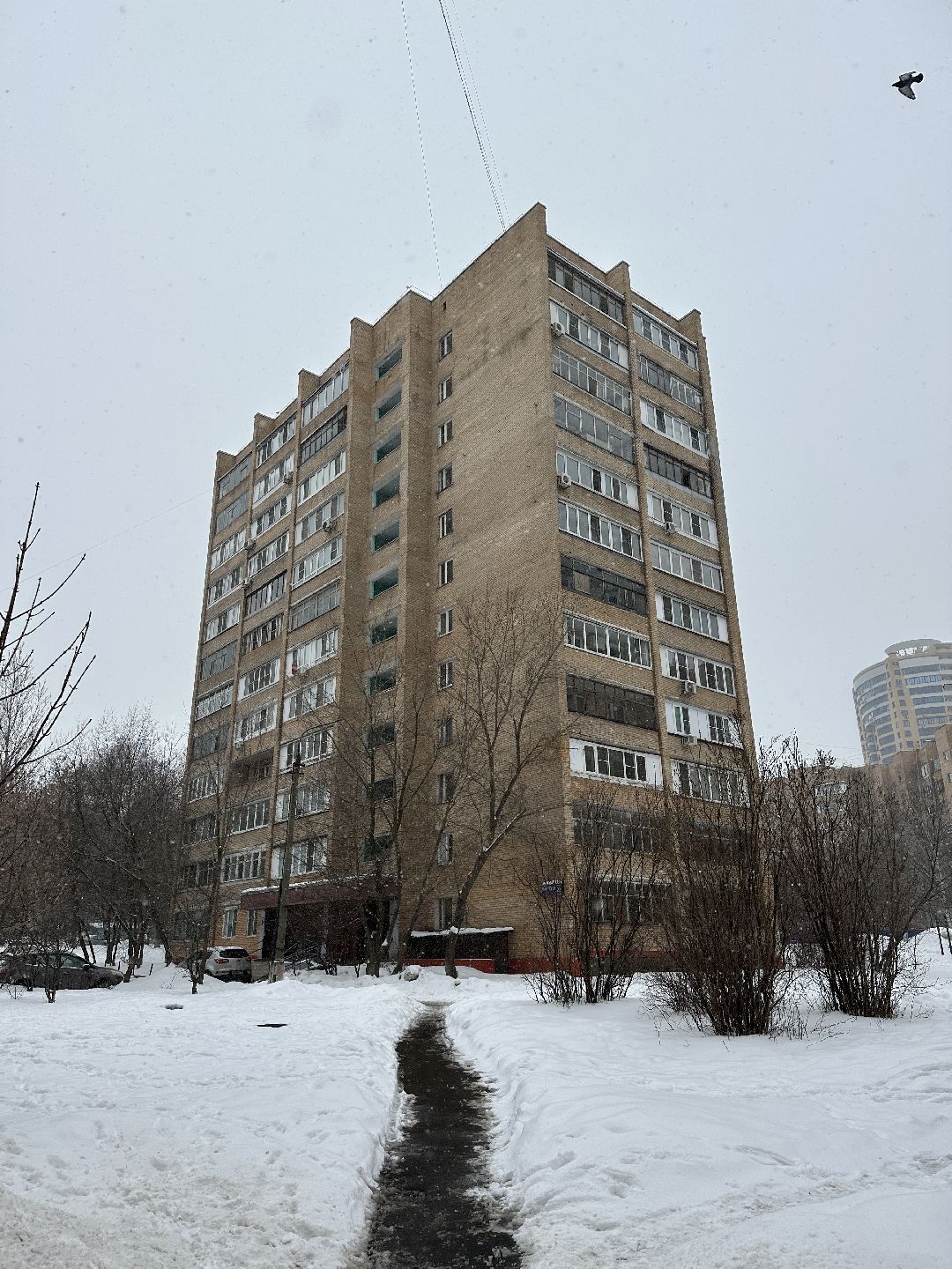 благоустройство, парк, сквер, клумбы, Реутов