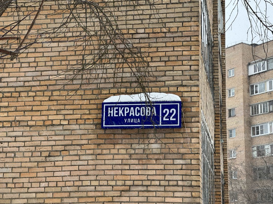 благоустройство, парк, сквер, клумбы, Реутов