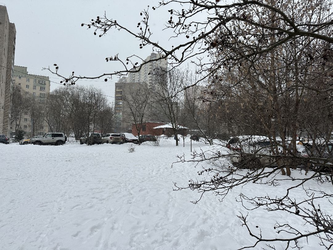 благоустройство, парк, сквер, клумбы, Реутов