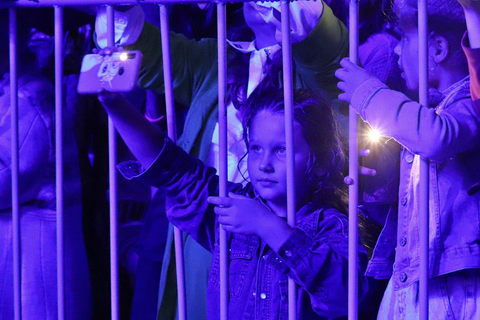 День города, Фрязино, праздник