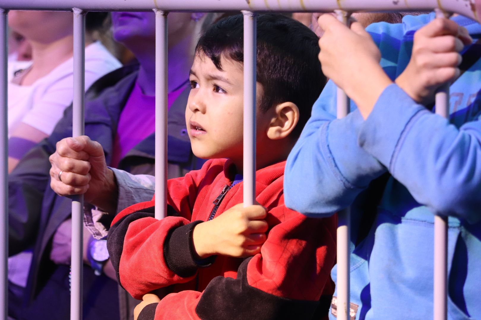 День города, Фрязино, праздник