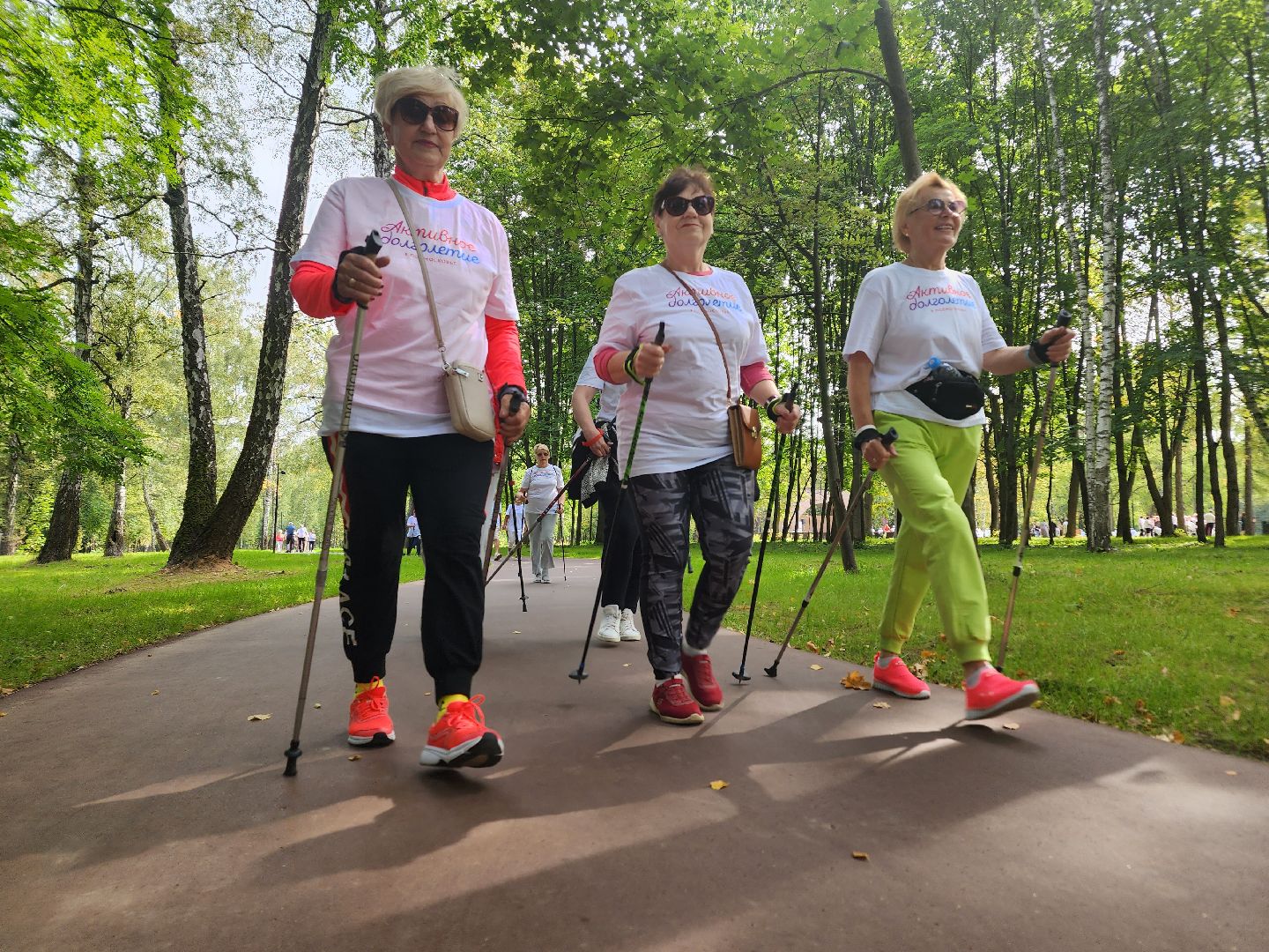 Ступино, активное долголетие, парки подмосковья,