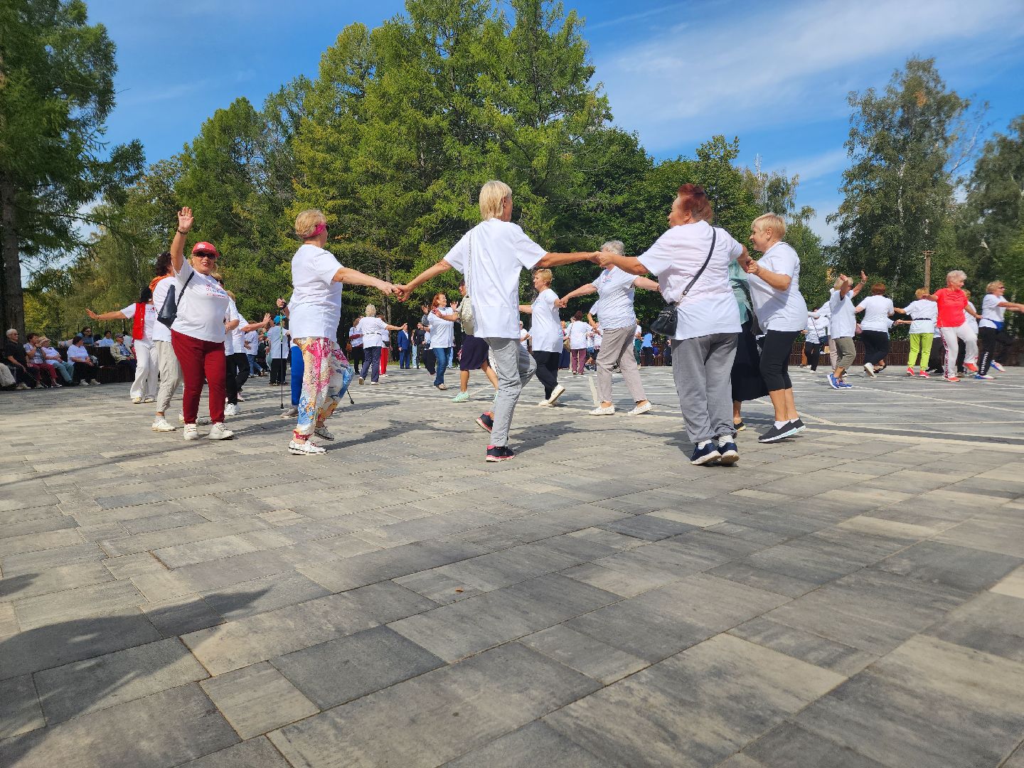 Ступино, активное долголетие, парки подмосковья,
