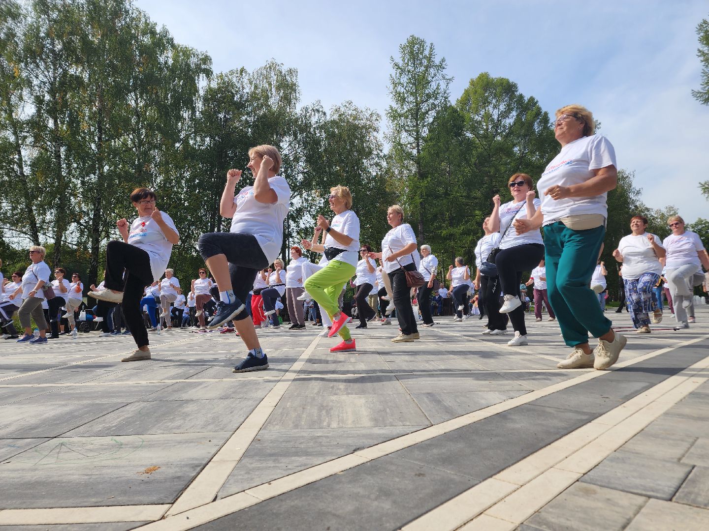 Ступино, активное долголетие, парки подмосковья,