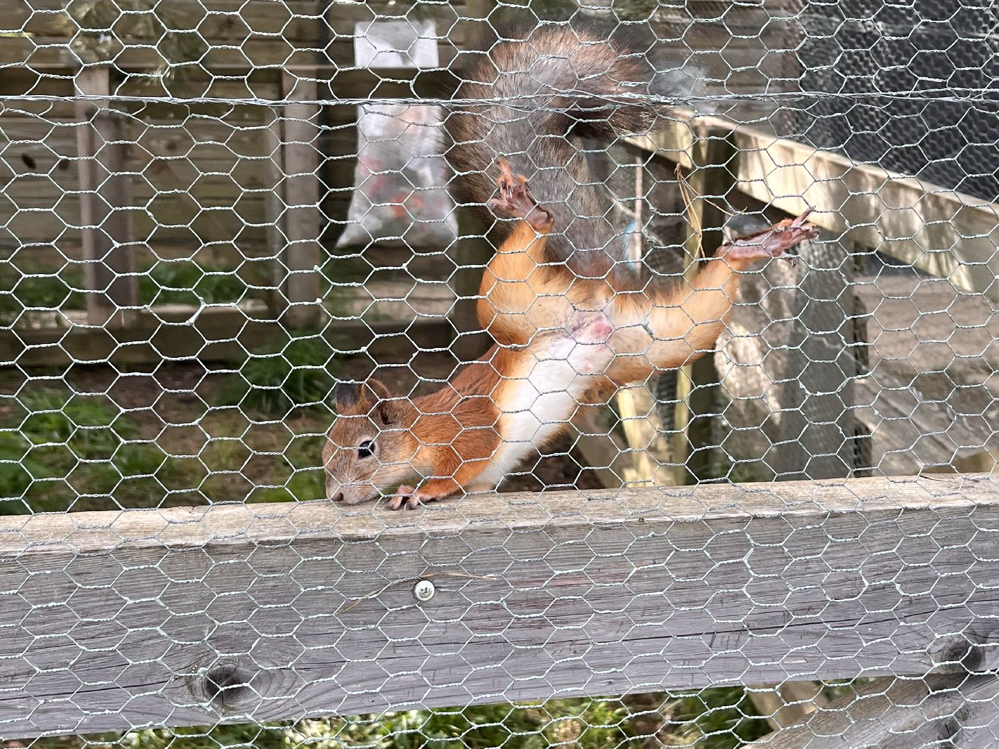 Шаховская, рыбалка, база отдыха