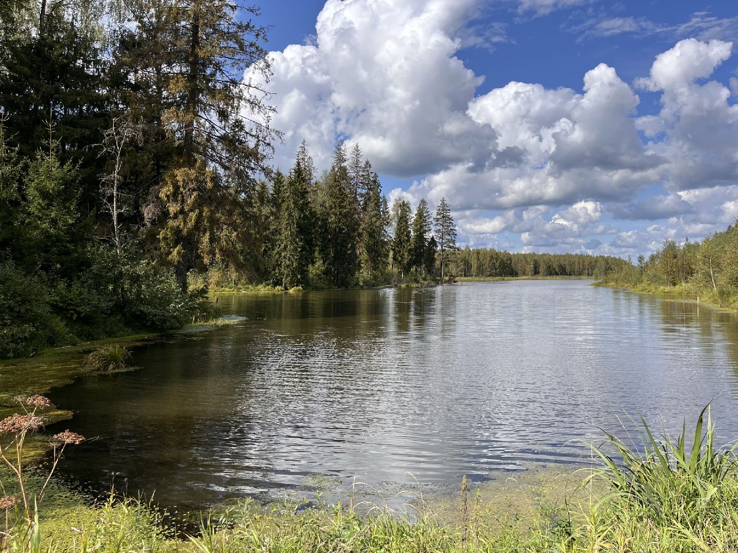 Шаховская, рыбалка, база отдыха