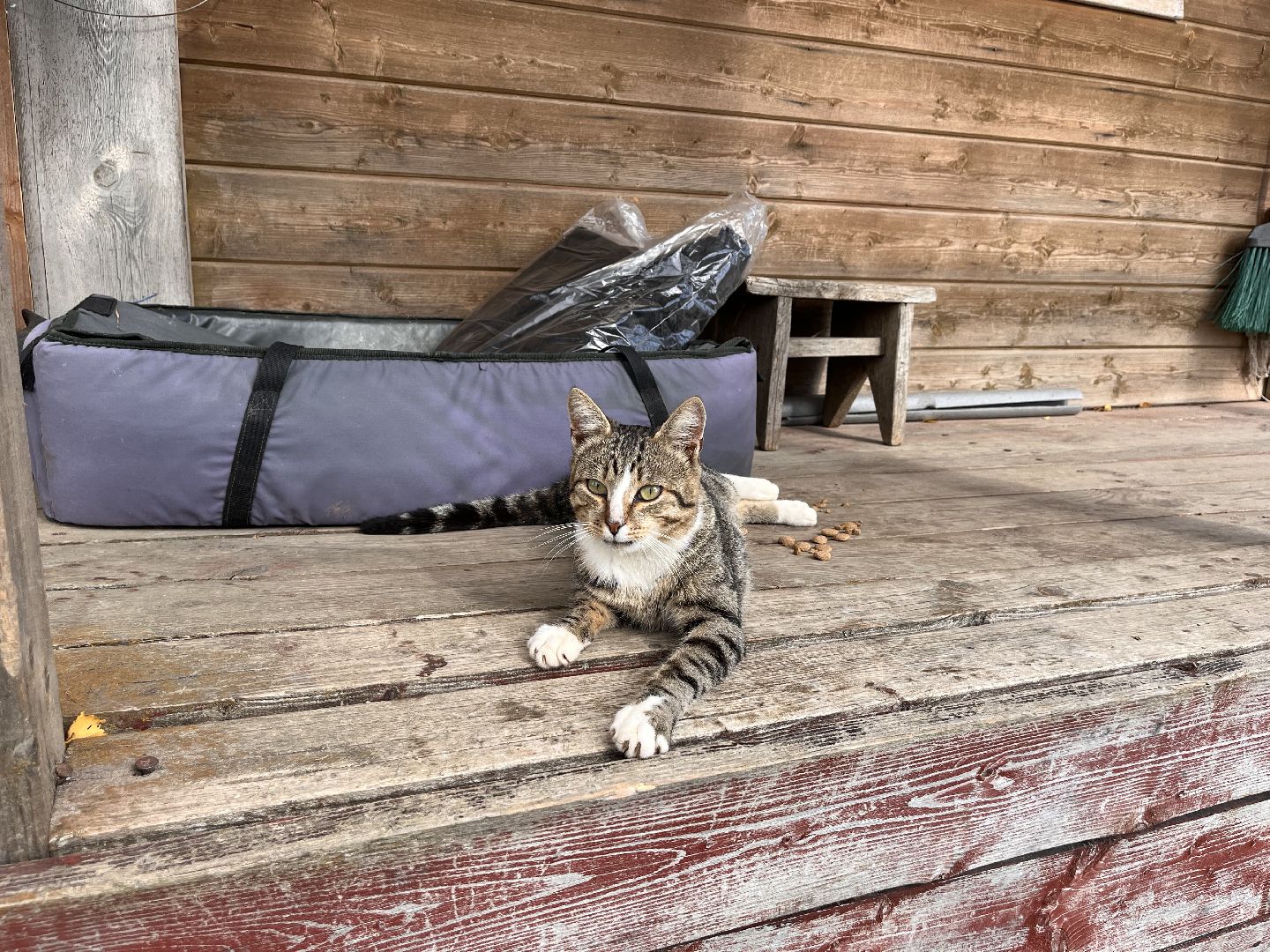 Шаховская, рыбалка, база отдыха