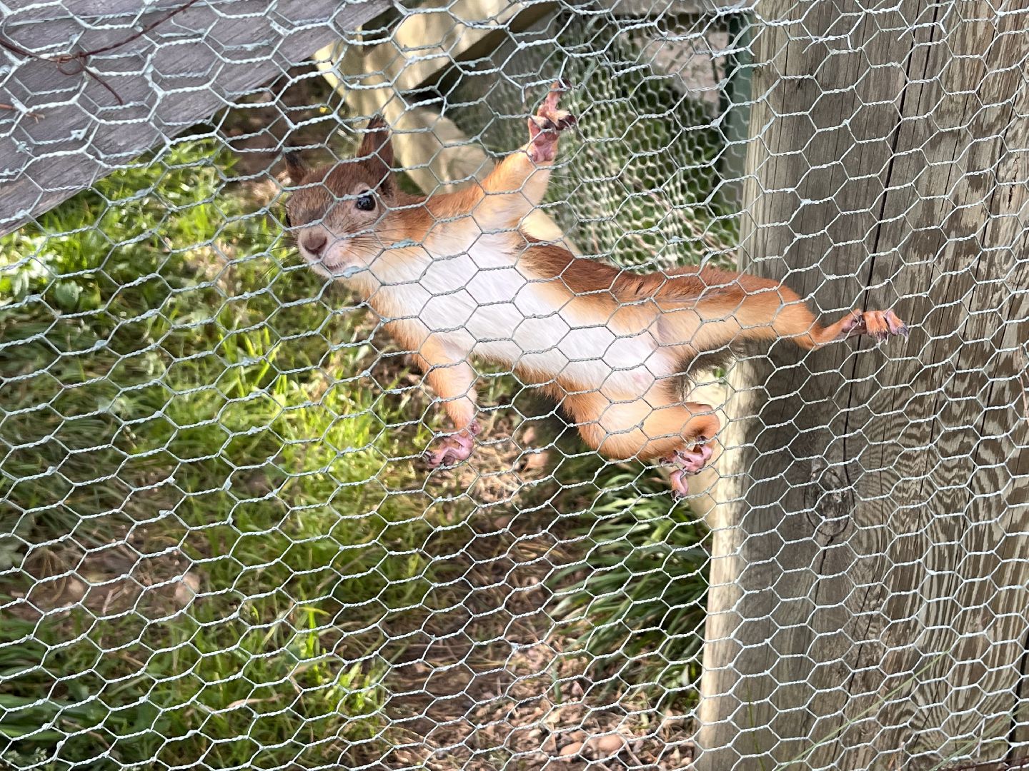 Шаховская, рыбалка, база отдыха