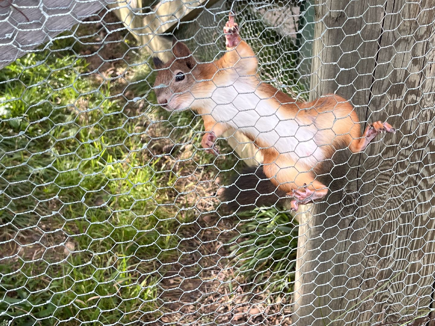 Шаховская, рыбалка, база отдыха