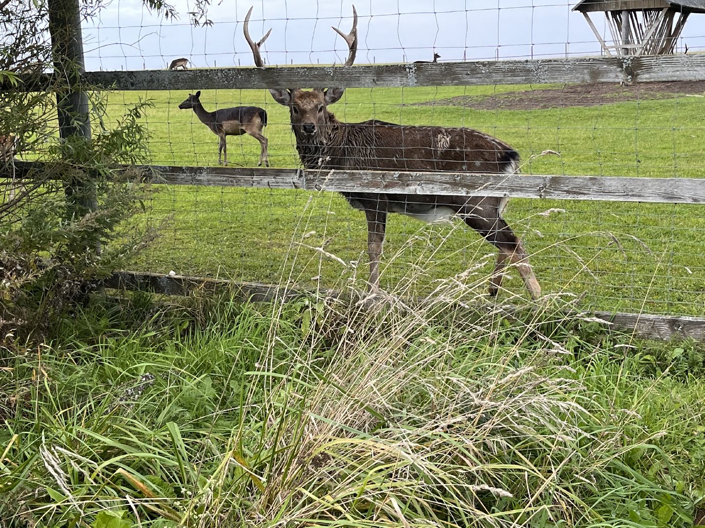 Шаховская, рыбалка, база отдыха