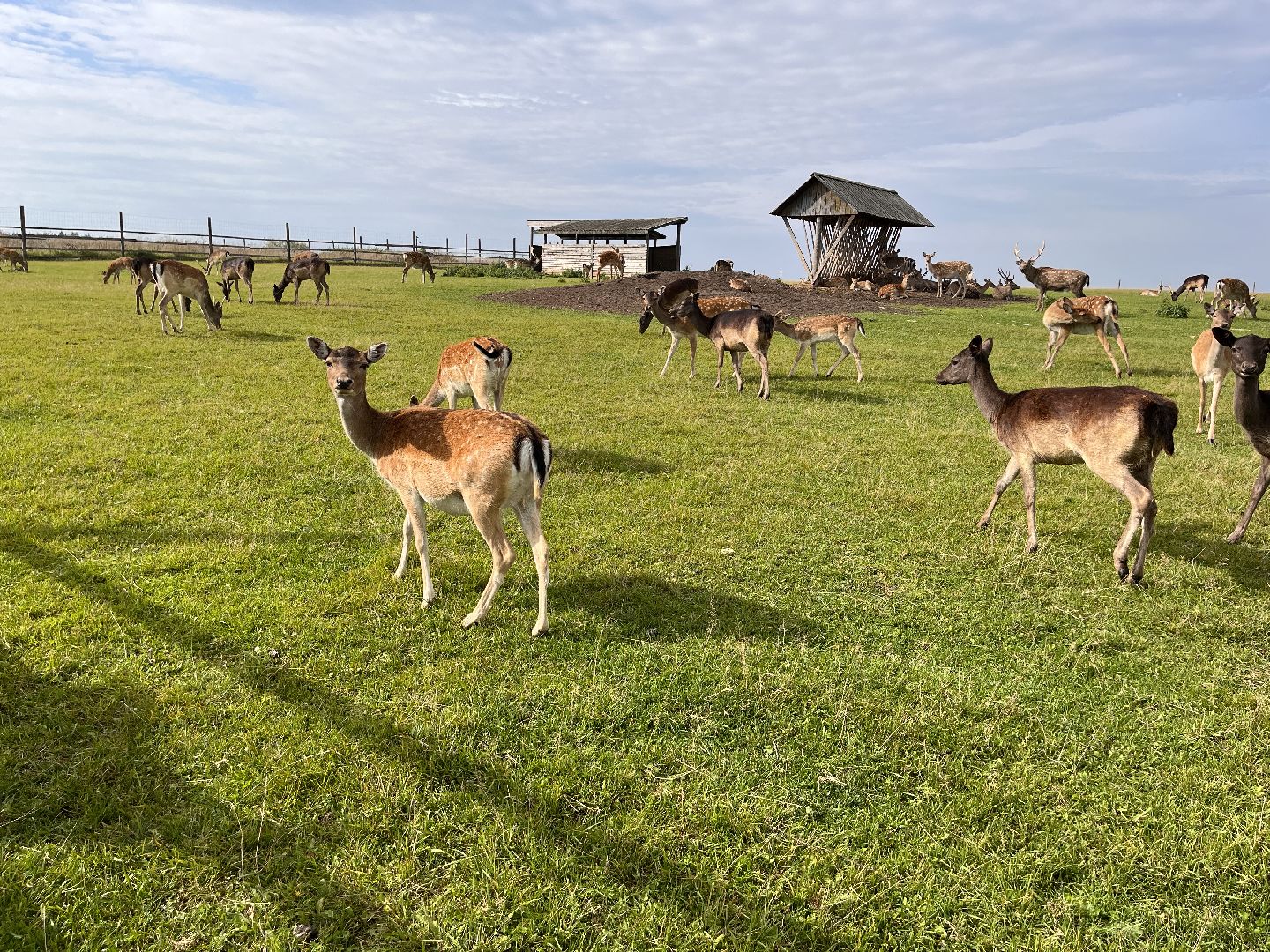 Шаховская, рыбалка, база отдыха