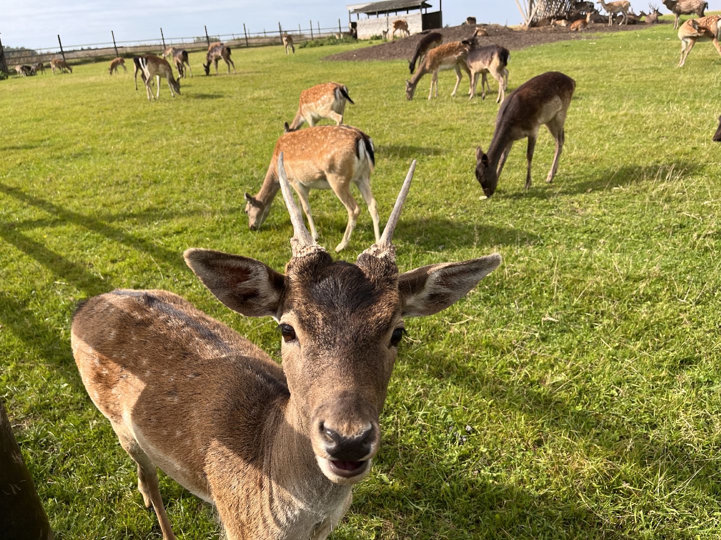 Шаховская, рыбалка, база отдыха