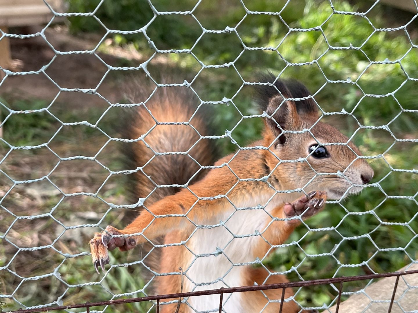 Шаховская, рыбалка, база отдыха