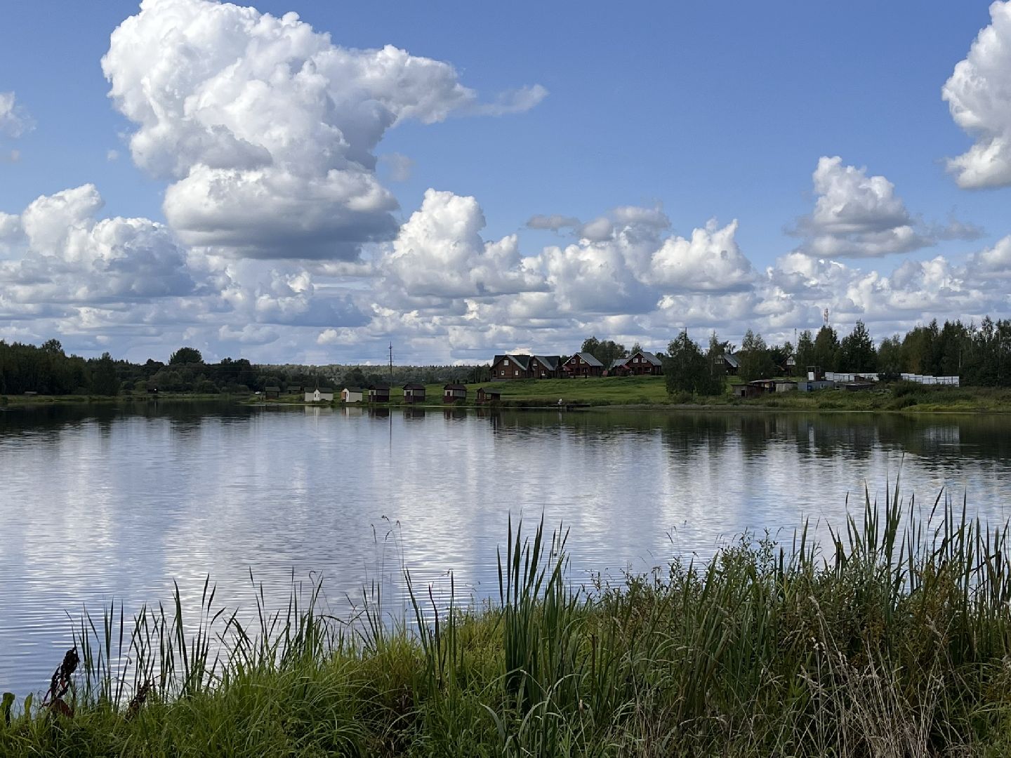 Шаховская, рыбалка, база отдыха