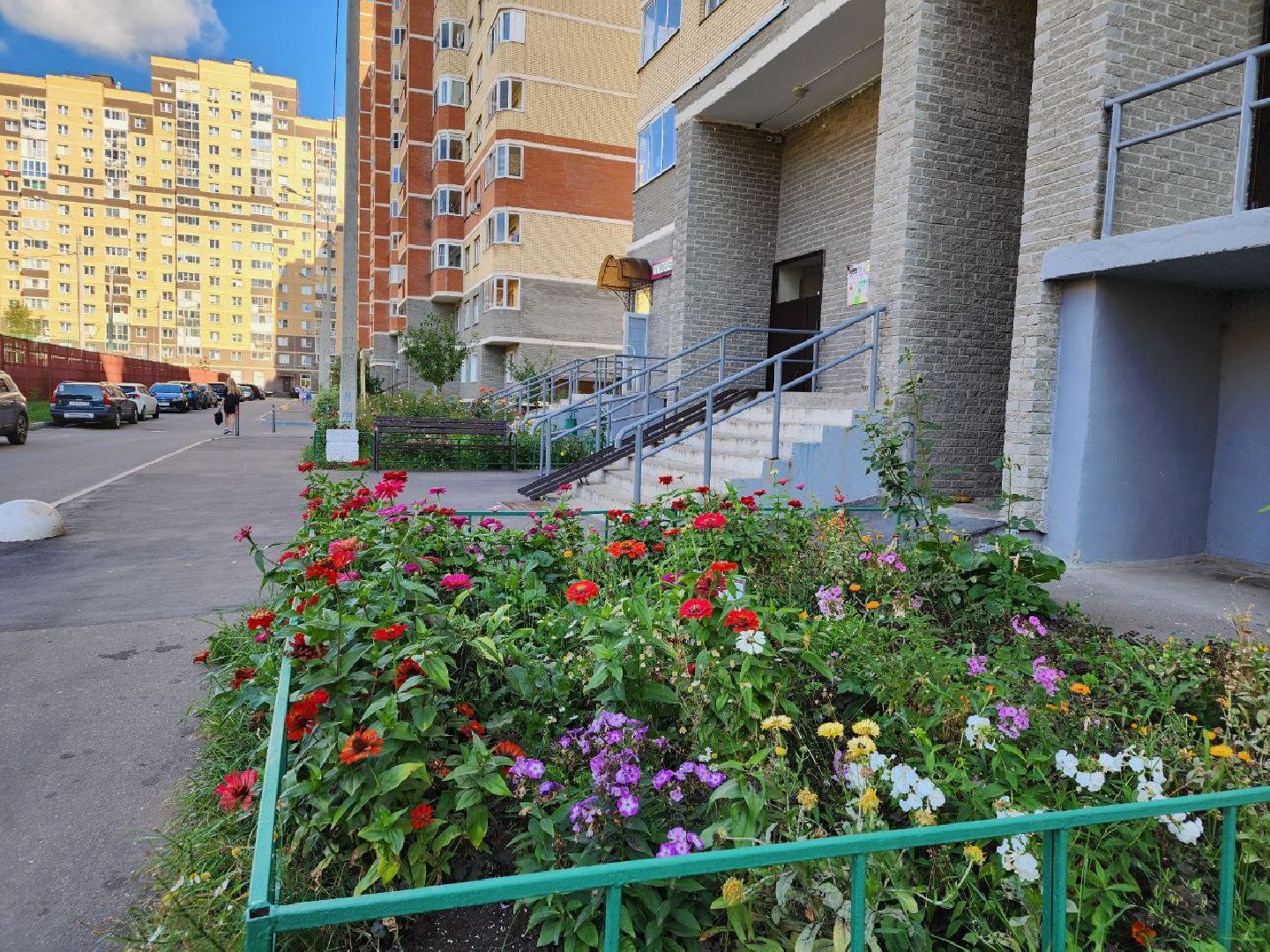 цветы, осень, Лосино-Петровский