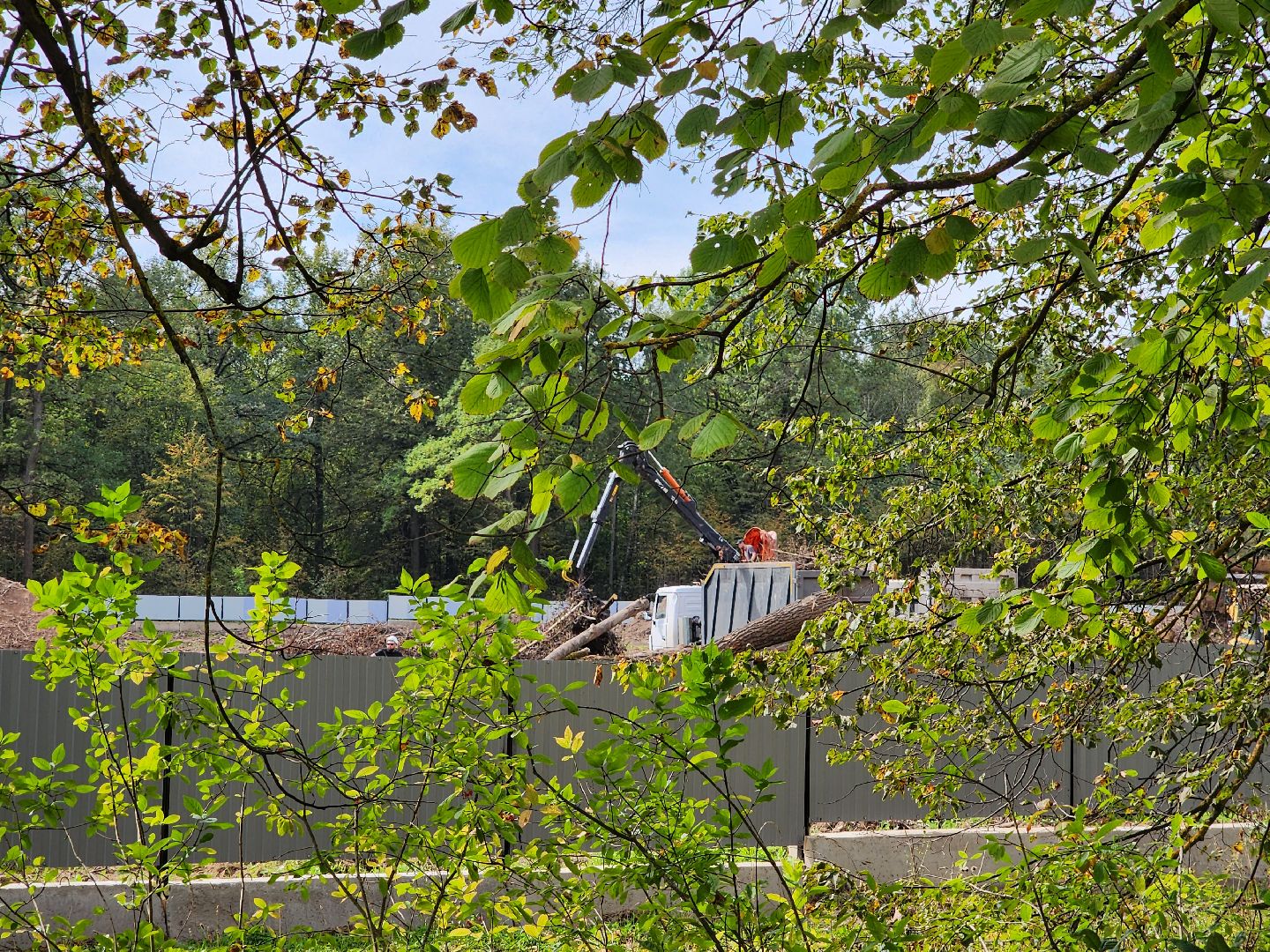 Подольск, школа