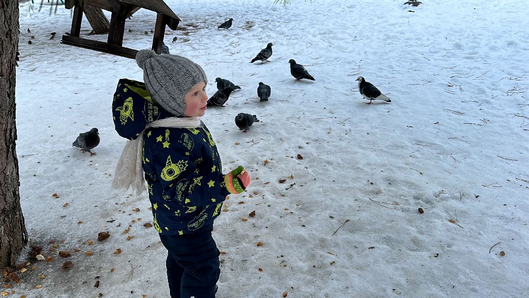 Одинцово, Центральная площадь, Благоустройство, Городская среда, Доступность, Минстрой РФ