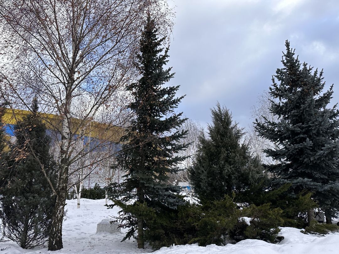 Одинцово, Центральная площадь, Благоустройство, Городская среда, Доступность, Минстрой РФ