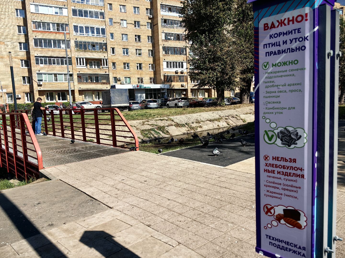 Автомат, корм, утка, птицы, сквер