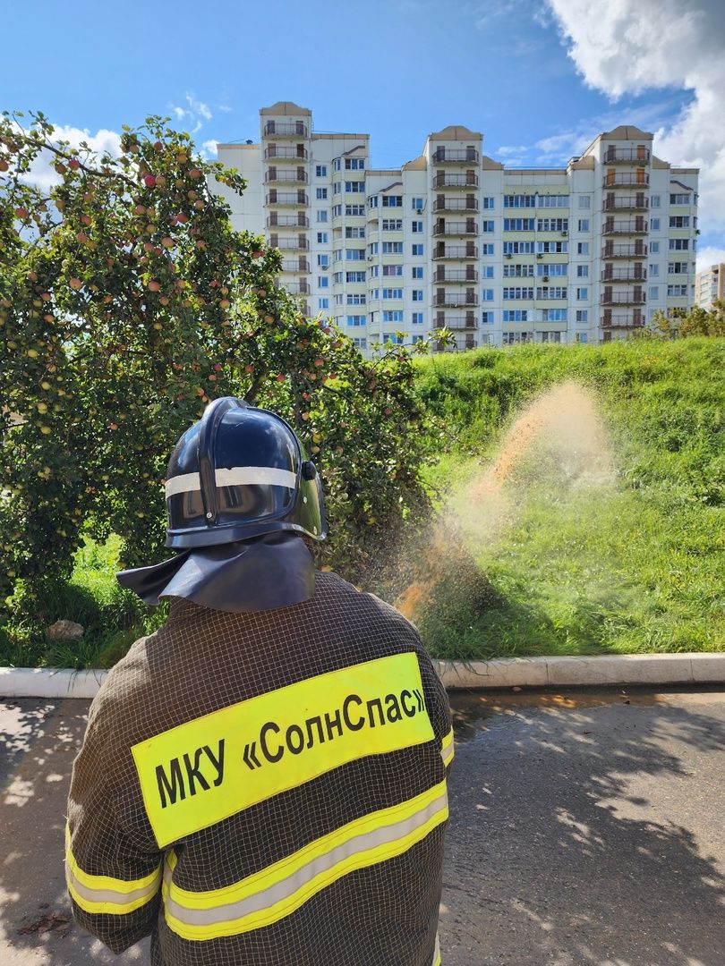 Солнечногорск, больница, эвакуация, противопожарная тренировка, СолнСпас