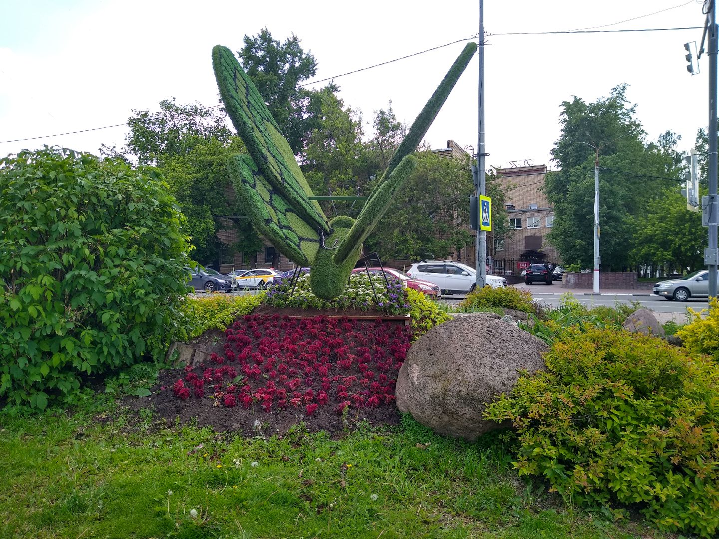 Раменское, благоустройство, топиарные бабочки в Раменском