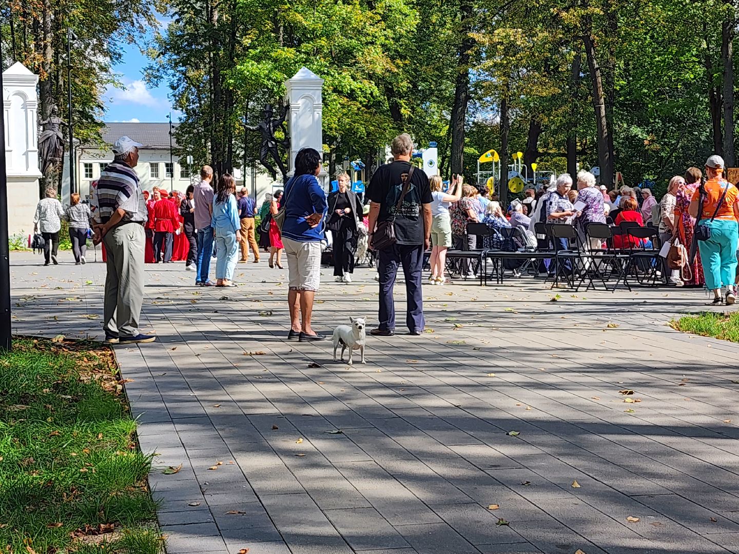 серпухов, активное долголетие, фестиваль, серебряные виртуозы, парк олега степанова,