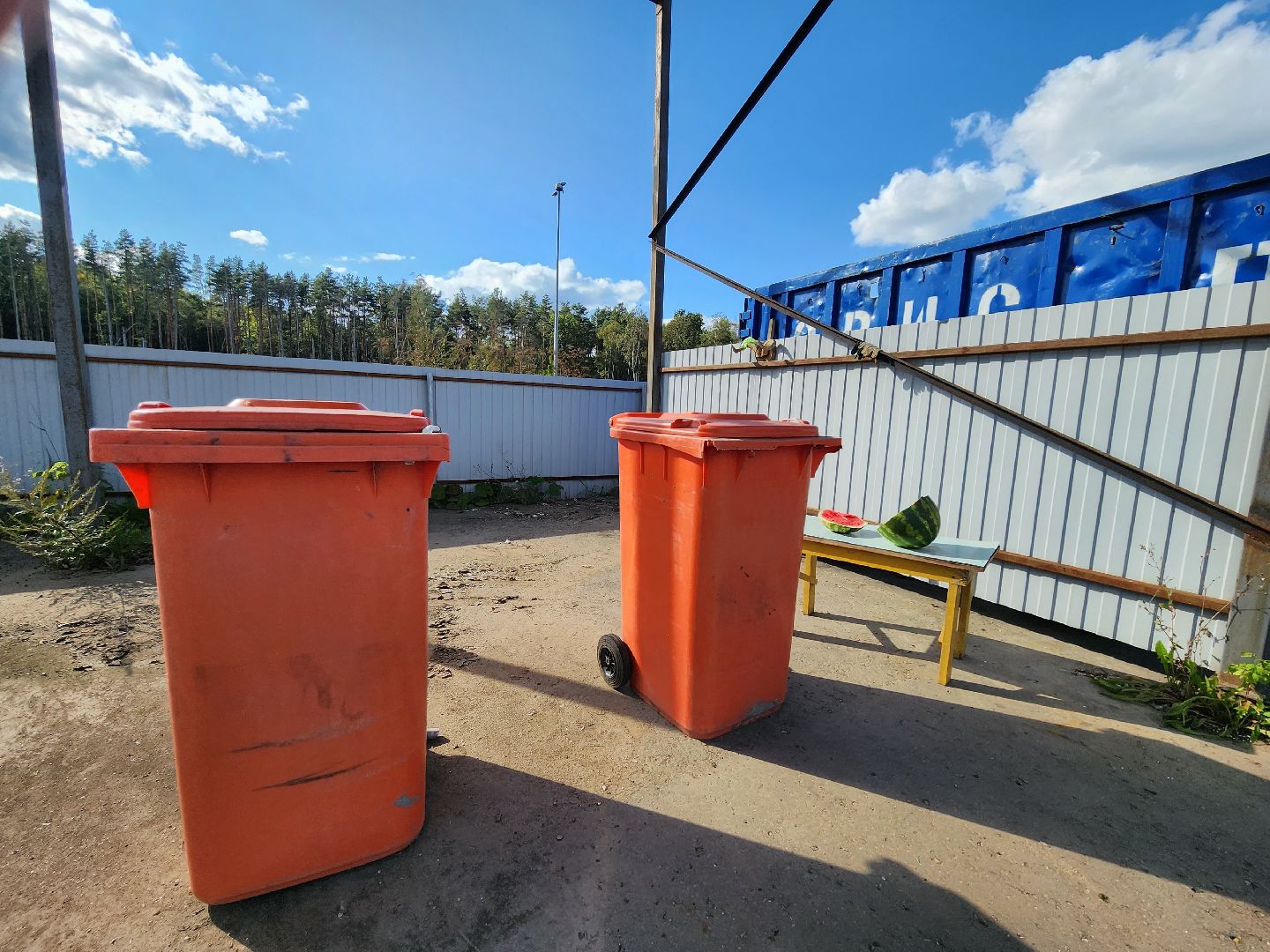 Одинцово, отходы, ЖКХ, акция, регоператор, переработка,