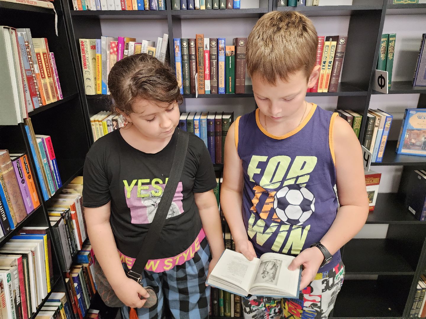 библиотека; досуг; чтение; зелёные аллеи; видное