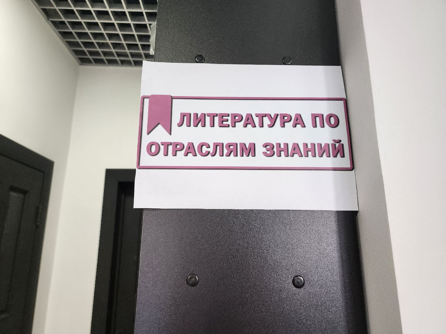 библиотека; досуг; чтение; зелёные аллеи; видное