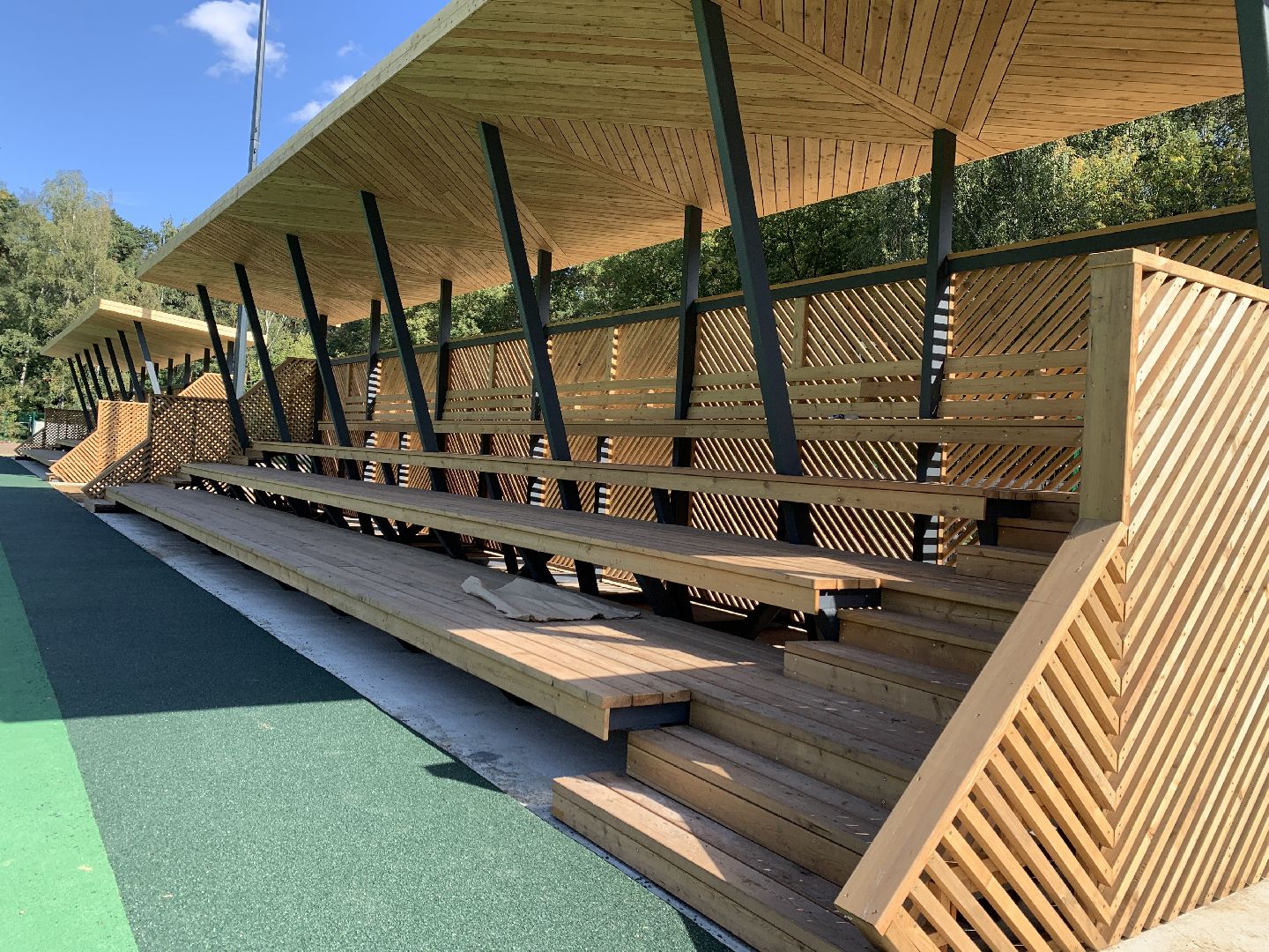 Балашиха, Подмосковье, благоустройство, спорт, стадионы, Пехорка-лес