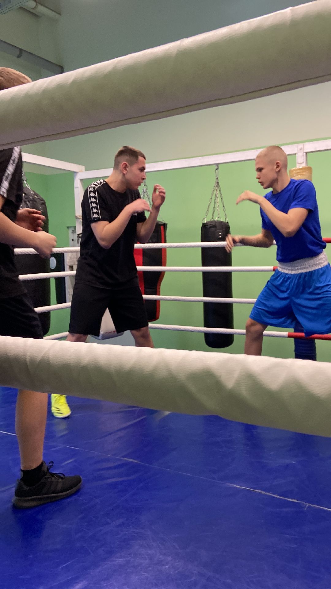 Волоколамск, спорт, бокс, дети,