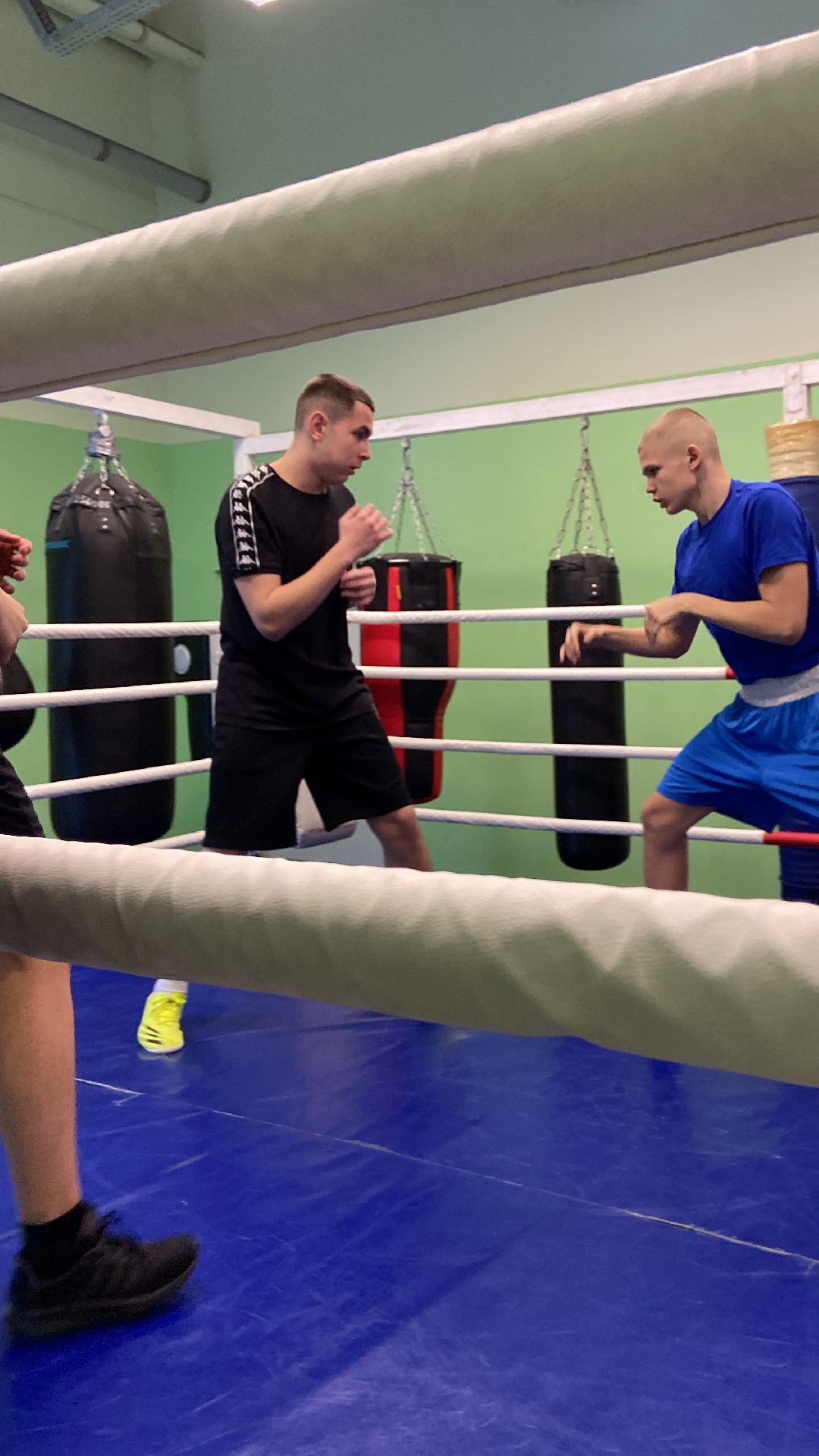 Волоколамск, спорт, бокс, дети,