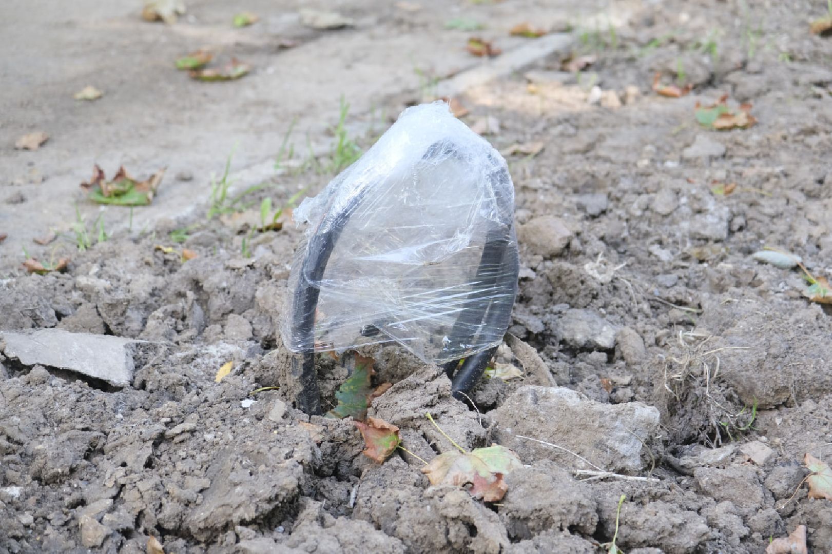 Пущино, светлый город