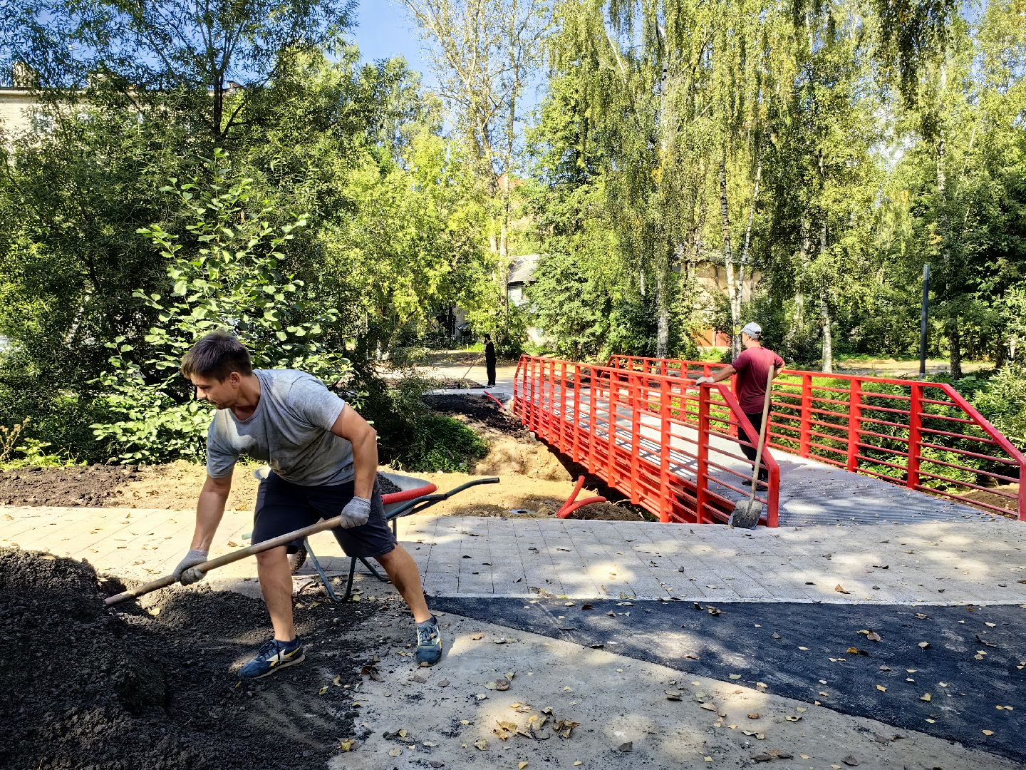 Сквер, обустройство, газон