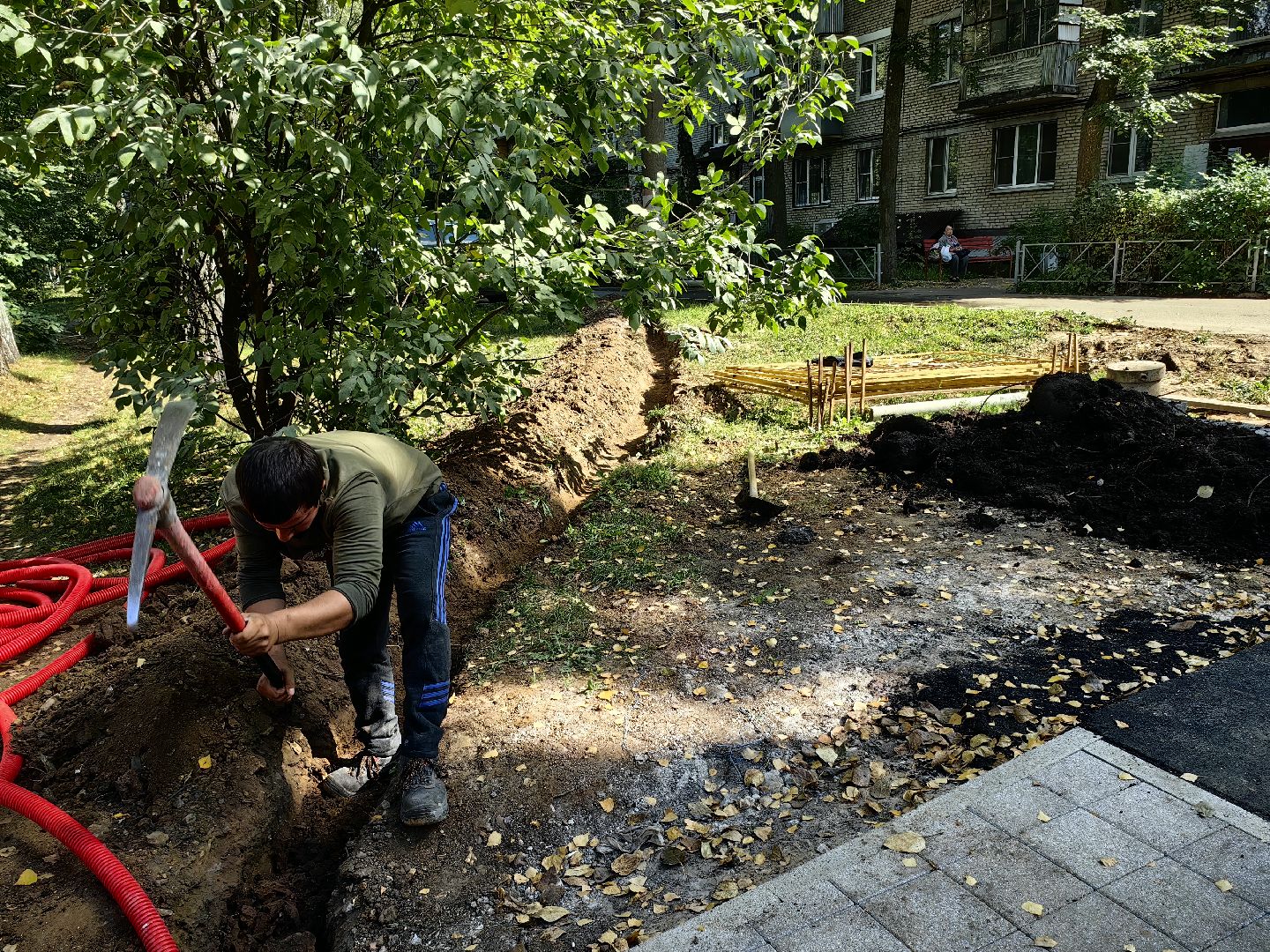 Сквер, обустройство, газон