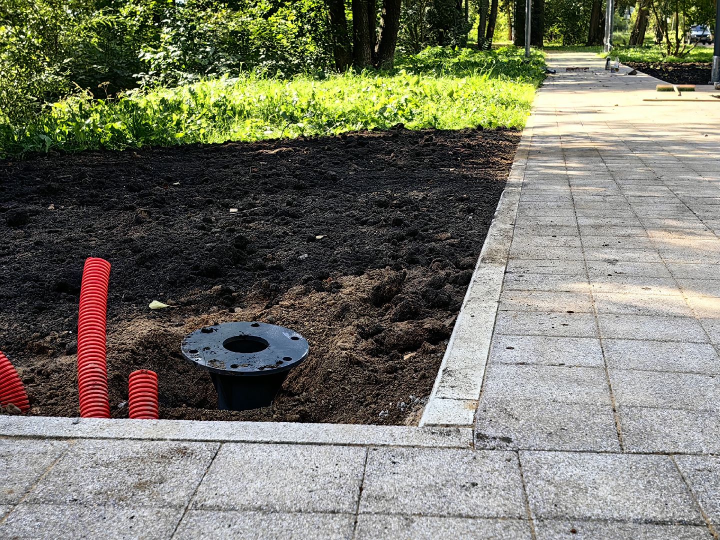 Сквер, обустройство, газон