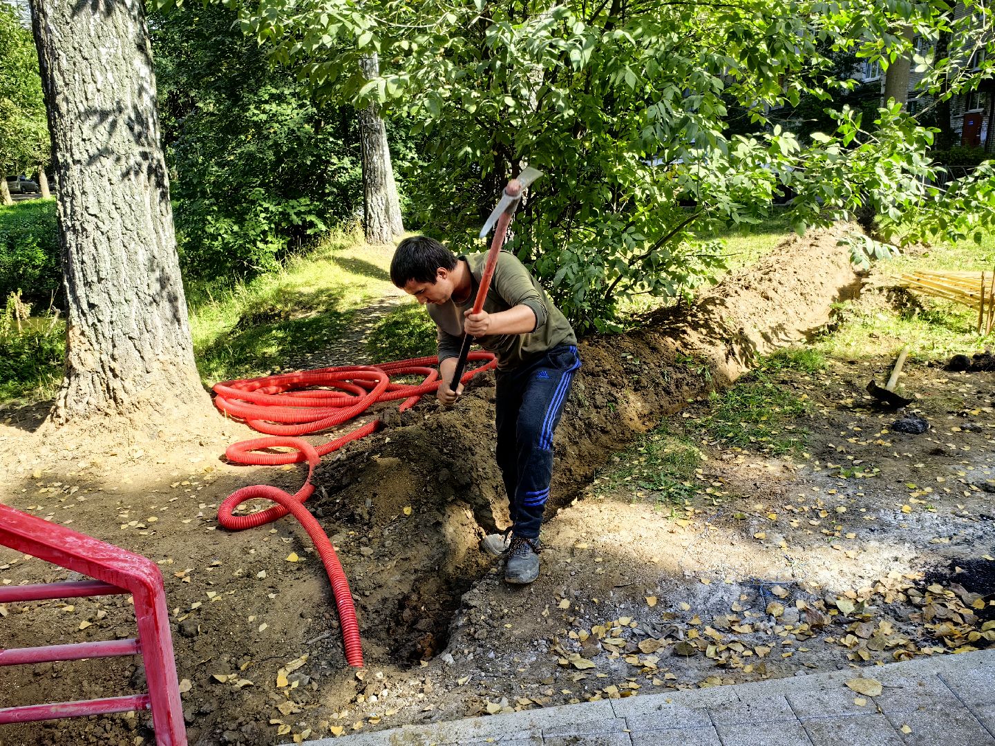 Сквер, обустройство, газон