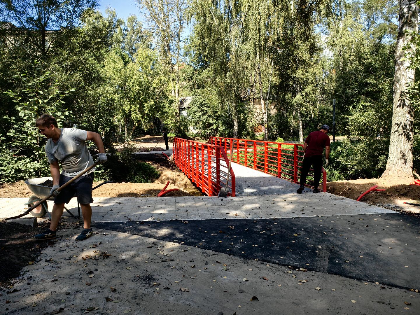 Сквер, обустройство, газон