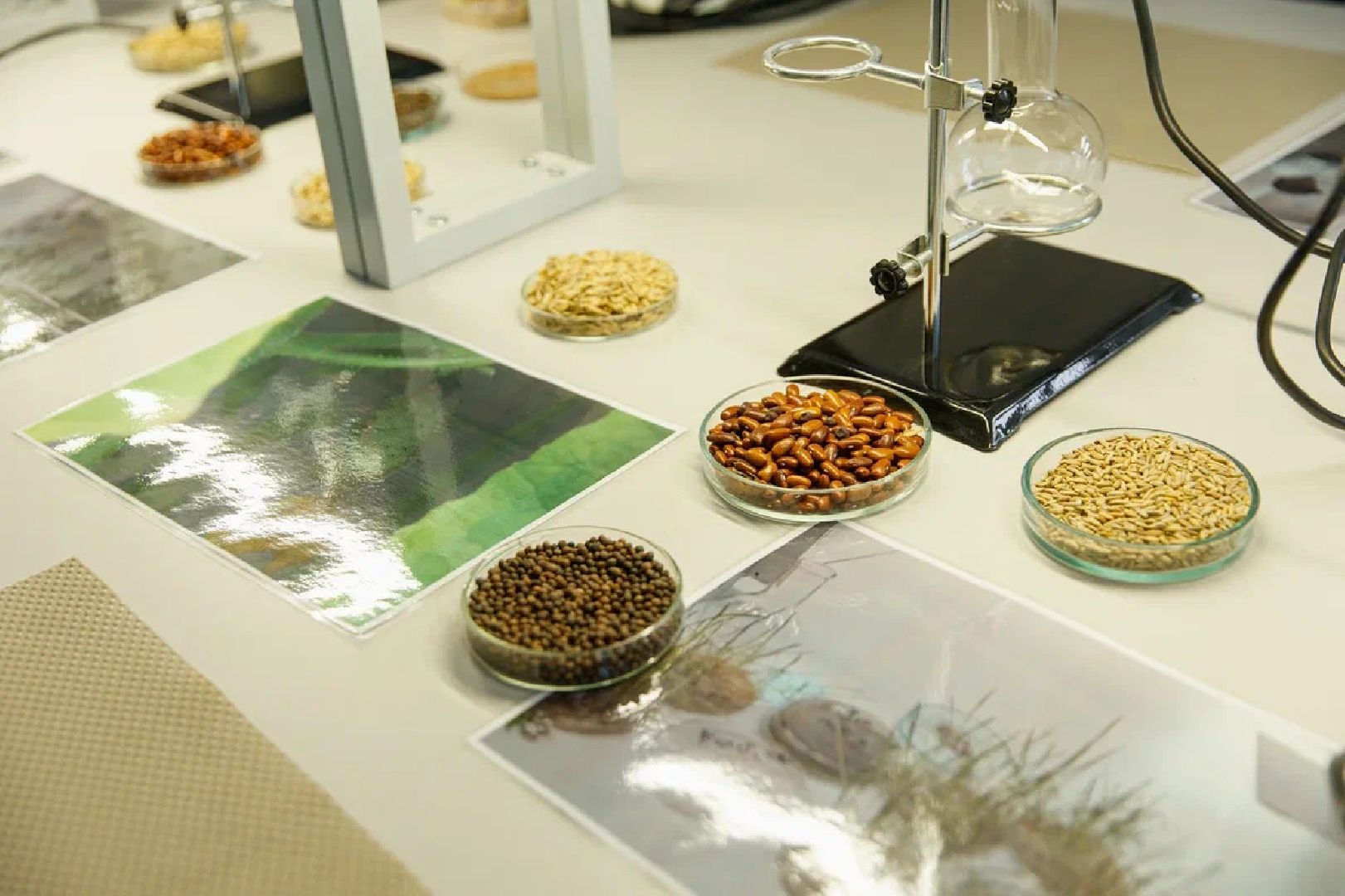 Образование, ГГТУ, университет, вуз, лаборатории, БПЛА, Орехово-Зуево