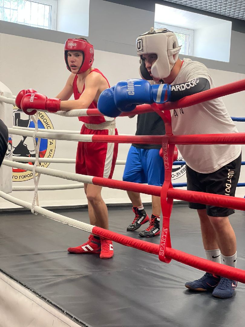 боксореховозуево