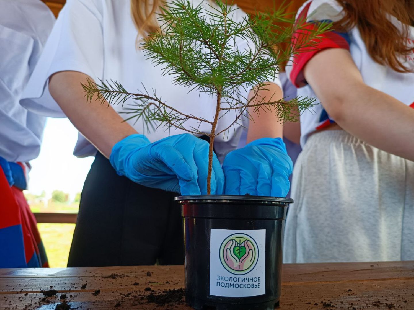 Можайск, Можайский городской округ, Подмосковье, ЭкоЛогичноеПодмосковье, экология, фестиваль, экоактивисты, природа