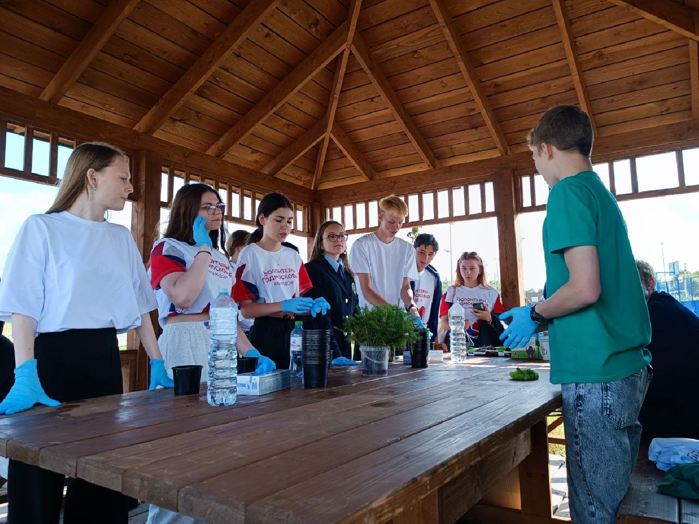 Можайск, Можайский городской округ, Подмосковье, ЭкоЛогичноеПодмосковье, экология, фестиваль, экоактивисты, природа