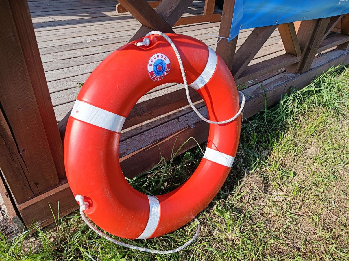 Можайск, Можайский городской округ, Подмосковье, ЭкоЛогичноеПодмосковье, экология, фестиваль, экоактивисты, природа