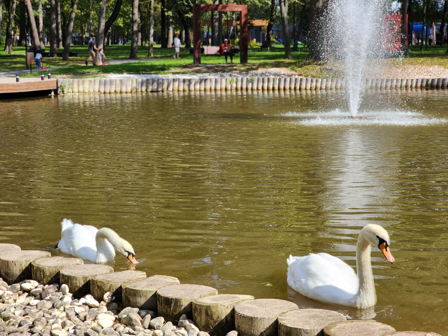 серпухов, парк олега степанова, пруд, лебеди, стеша и степа,